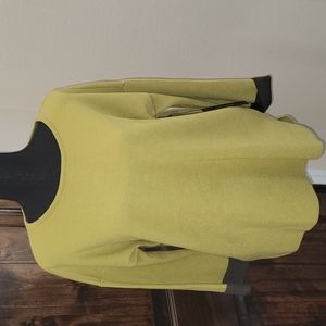 💕HP💕NWT Tahari Lime/Gray Sweater💕Size L